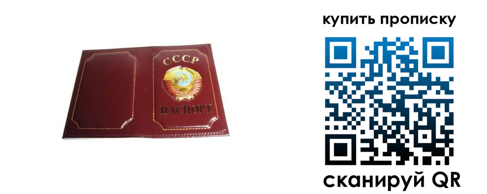 прописка законно в Сланцах